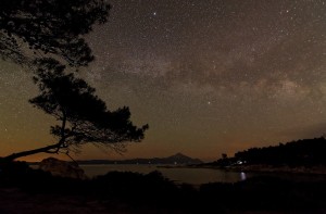 καβουρότρυπες Χαλκιδικής